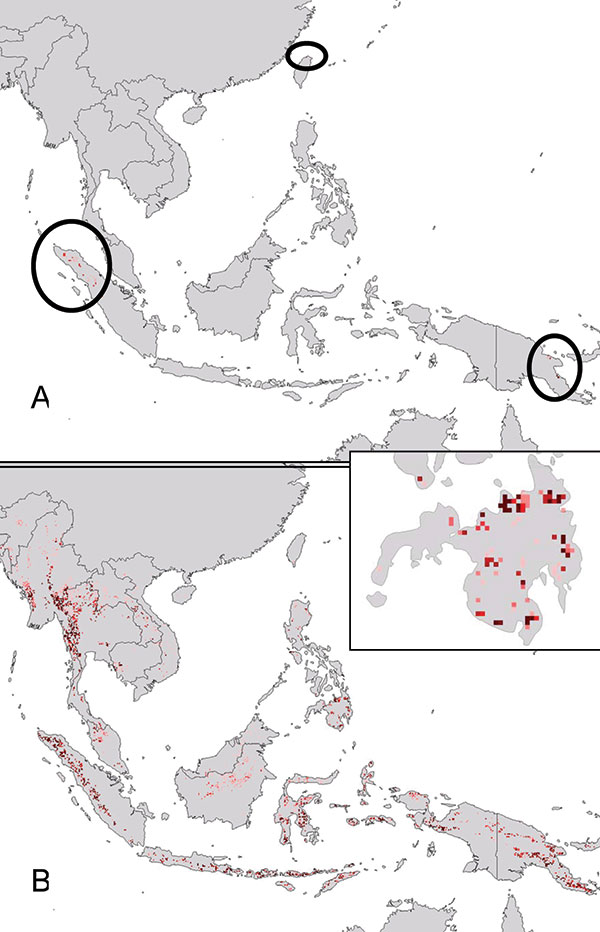 Projection of filovirus ecologic niche models onto southeastern Asia and the Philippines to assess the degree to which possible Philippine distributional areas are predictable on the basis of the ecologic characteristics of African filovirus hemorrhagic fever (HF) occurrences. (A) Projection of model for Marburg HF occurrences (Figure 1D) to southeastern Asia. (B) Projection of model for all filovirus disease occurrences (Figure 1B) to southeastern Asia (the projection of models for Ebola HF occ