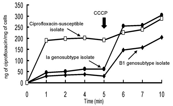 Accumulation of ciprofloxacin by the two ciprofloxacin-resistant isolates of genosubtype Ia of Salmonella enterica serotype Typhimurium and genosubtype B1 of S. enterica serotype Choleraesuis and one clinical isolate of S. enterica serotype Typhimurium (ciprofloxacin MIC = 0.06 μg/mL). Carbonyl cyanide m-chlorophenylhydrazone (CCCP) (100 μM) was added at the time indicated by the arrow.