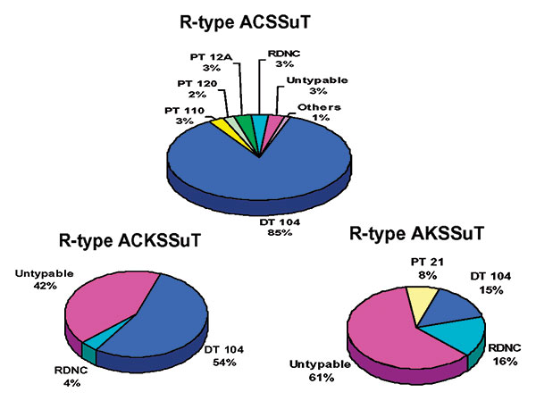 Distribution of Salmonella Typhimurium phage types among resistance patterns.