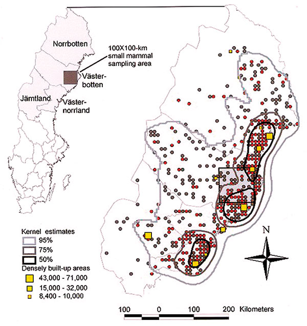 Spatial distribution of nephropathia epidemica infections during 1991 to 1998 in the northern half of Sweden as suggested by patients confident about their site of virus exposure (n = 862). Sites of virus exposure are represented by red (1998 outbreak) and gray dots (remaining years). Densely built-up areas are represented by yellow squares (8,400 to 71,000 inhabitants). Kernel estimates (bold contours) on spatial clustering of cases represent 95%, 75%, and 50% chances of encountering a case amo