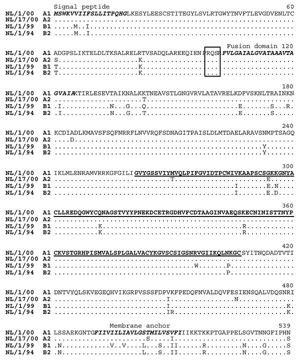 Amino acid sequence comparison of the fusion protein genes of prototype human metapneumovirus isolates of each sublineage. The predicted signal peptide, fusion domain, and membrane anchor are shown in italics in boldface type, the cleavage sites are boxed, and the region sequenced for 84 samples is underlined in boldface type. Periods indicate the position of identical amino acid residues relative to isolate NL/1/00.