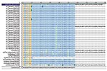 Thumbnail of Alignment of putative PB1-F2 amino acid sequences of 24 Taiwanese H1N1 strains and 10 H1N1 reference strains. Most strains, including 23 Taiwanese strains and 5 reference strains, contained a truncated open reading frame (ORF) 57 residues long. One reference strain, A/Wisconsin/3523/88, had the ORF truncated at 11 residues. PB1-F2 of A/Puerto Rico/8/34 with 87 residues is placed on top of the alignment. One Taiwanese strain and three reference strains each contained a complete PB1-F