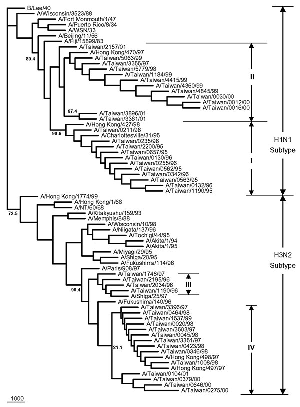Phylogenetic tree of influenza A viruses for their PB1 gene nucleotide sequences. Apart from the 42 Taiwanese isolates obtained in this study, 27 reference strains were included; these were selected on the basis of an extensive search of all human H1N1 and H3N2 influenza viruses from GenBank, whose PB1 sequences were shown to be able to be translated into the putative PB1-F2 gene. The tree was rooted with B/Lee/40. All strains were separated into two groups according to their subtypes. Sequence