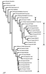 Thumbnail of Phylogenetic tree of H1N1 influenza A viruses for HA nucleotide sequences. Five recent vaccine strains were included along with the 24 Taiwanese strains and six reference strains considered previously in Figure 4. The tree was rooted with A/Puerto Rico/8/34. Sequence analysis was conducted using the software Lasergene, Clustal W, and PHYLIP with 1,000 replicates. Sequences contained 561 to 564 nt bases from positions 120 to 683, based on A/Puerto Rico/8/34.