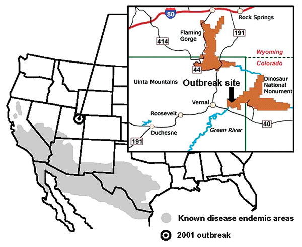 Known geographic distribution of Coccidioides immitis in the United States and location of the 2001 coccidioidomycosis outbreak in Utah. Source: U.S. Geological Survey, Operational Guidelines for Geological Fieldwork in Areas Endemic for Coccidioidomycosis (Valley fever), 2000.