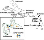 Thumbnail of Location of Guadeloupe archipelago within the Caribbean. Insert: locations of horse and chicken sampling places in Guadeloupe and Marie Galante Islands. Red triangle, farm with seropositive chicken; blue circle, equine center with seropositive horses identified from July 2002; gold circle, equine center with seropositive horses identified from December 2002 to January 2003; black circle, equine center with no seropositive horses.