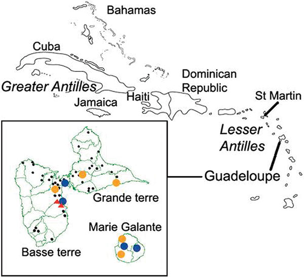 Location of Guadeloupe archipelago within the Caribbean. Insert: locations of horse and chicken sampling places in Guadeloupe and Marie Galante Islands. Red triangle, farm with seropositive chicken; blue circle, equine center with seropositive horses identified from July 2002; gold circle, equine center with seropositive horses identified from December 2002 to January 2003; black circle, equine center with no seropositive horses.