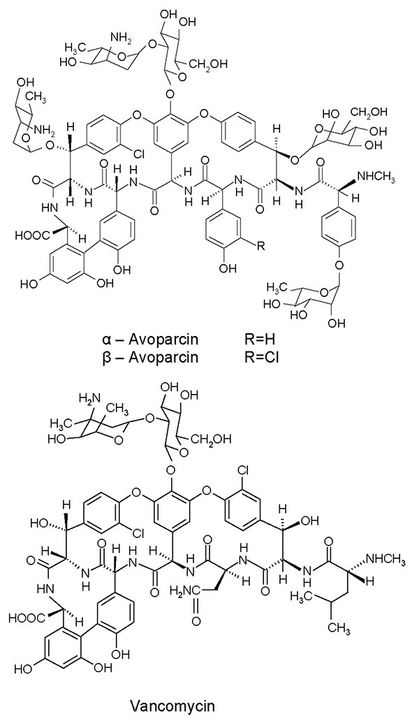 Chemical structures of avoparcin and vancomycin.