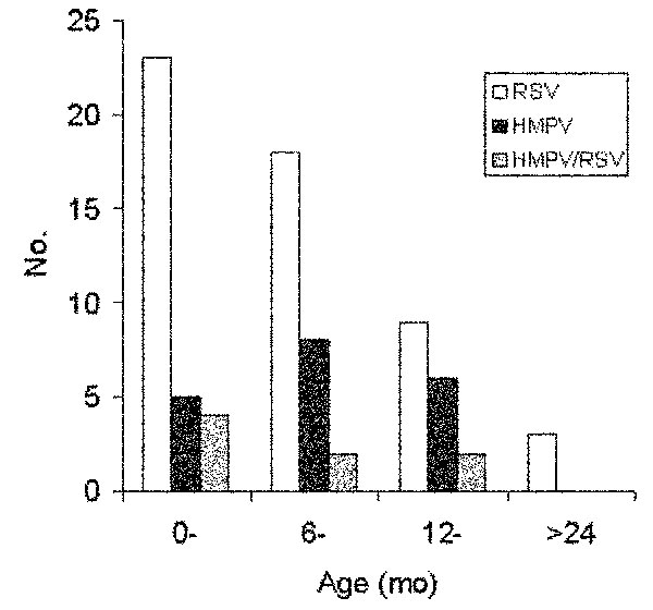 Number of children with respiratory syncytial virus (RSV), human metapneumovirus (HMPV), and RSV/HMPV co-infection by age.