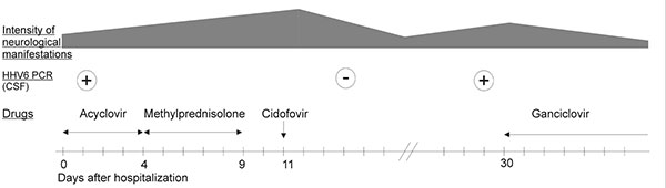 Clinical and therapeutic course and cerebrospinal fluid analysis. Dosage of acyclovir was 10 mg/kg, 3x/day, methylprednisolone was 1 g/day, cidofovir was 5 mg/kg 1 day, ganciclovir was 5 mg/kg, 2x/day.