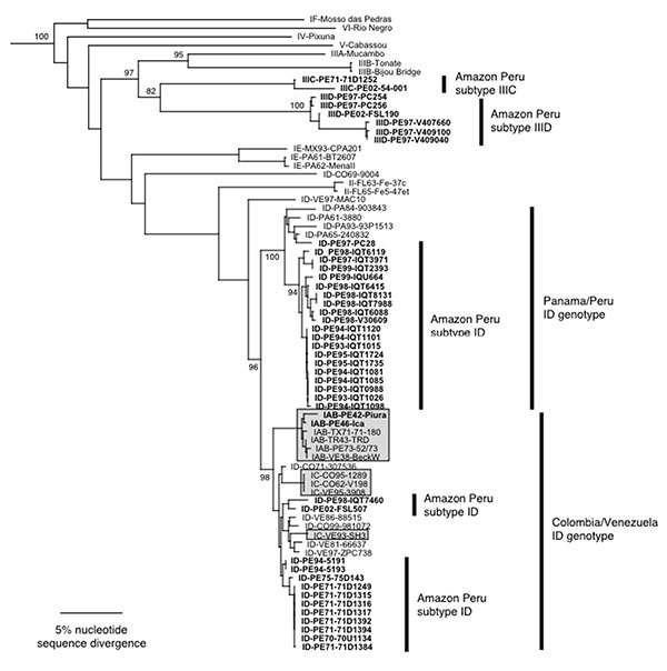 Phylogenetic tree of the Venezuelan equine encephalitis virus (VEEV) complex derived from partial PE2 gene sequences of Peruvian VEEV isolates and homologous sequences published previously, using the neighbor joining program implemented in PAUP 4.0 (22). The tree was rooted using an outgroup comprised of four major lineages of Eastern Equine Encephalitis virus (26). Virus strains are labeled by VEE complex subtype, abbreviated country (FL=Florida, USA) and year of isolation, followed by strain d