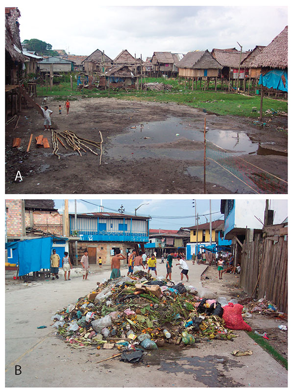 Typical views of the residential areas of Belen, Iquitos, Peru. A. Houses near the river edge are built on stilts. B. Conditions abound for the proliferation of peridomestic rats in the same places where people live and play. This view is adjacent to the major market area of Belen, where Rattus spp. are commonly observed, even during the day in the middle of commercial activities.