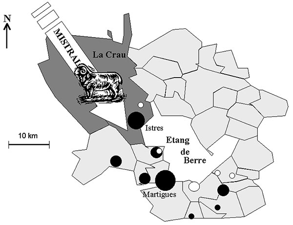 Etang de Berre area of France, showing the location of “La Crau” (sheep-breeding area), and the direction of the mistral wind. The black dots represent the human Q fever cases (places of residence). The white dots represent the 7 cases which occurred in December 1998 to January 1999.