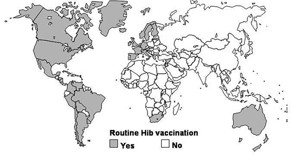 Global status of countries using Hib conjugate vaccine in their national immunization program in 2001 (J. Wenger, WHO, unpub. data).