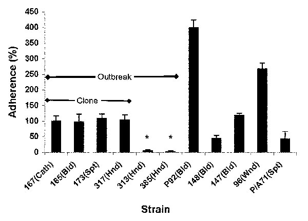 Adherence properties of Candida parapsilosis clinical isolates. Graph shows adhesion ability of various C. parapsilosis strains, compared to strain 167 from the Centers for Disease Control and Prevention. Results were normalized to strain 167, which was taken as 100%. Each result is representative of at least two experiments. Error bars represent standard deviation. *p &lt; 0.001 for comparison of values of strain 167 vs. strains 313 and 385; all other comparisons had p values &gt; 0.05. (For de