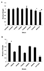 Thumbnail of Relative dry weight of biofilms formed by Candida parapsilosis clinical isolates. Panel A shows relative dry weight of the C. parapsilosis strains from outbreak investigations by the Centers for Disease Control and Prevention from various culture sources. Results were normalized to control C. parapsilosis strain 167, which was taken as 100%. Each result is representative of at least two experiments. Error bars represent standard deviation. *p = 0.001 and +p &lt; 0.001 for dry weight