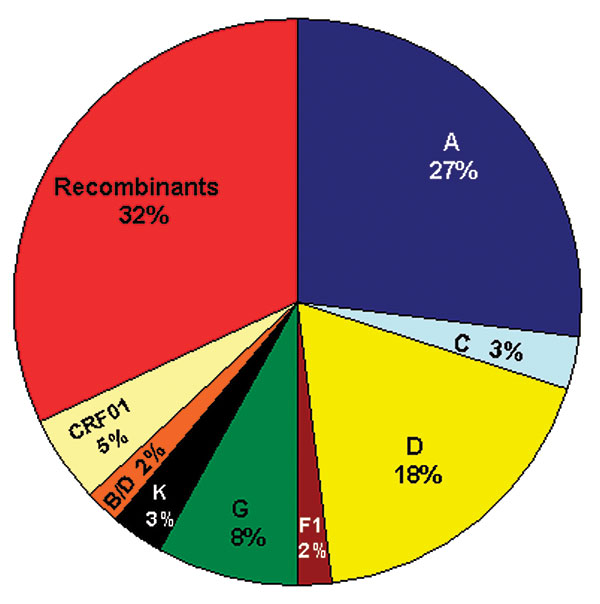Distribution of subtypes and recombinant viruses. The pie chart represents 66 strains for which sequences from at least 2–3 gene regions were available for comparison; the subtypes in the pie chart represent concordant phylogenies suggestive of possible “pure” subtypes; the CRF01 and unique recombinant viruses are indicated in the pie chart. Table 2 summarizes subtypes of unique recombinant viruses.