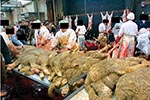 Thumbnail of The Aid El Khebir sheep sacrifice in the abandoned Marseilles slaughterhouse.
