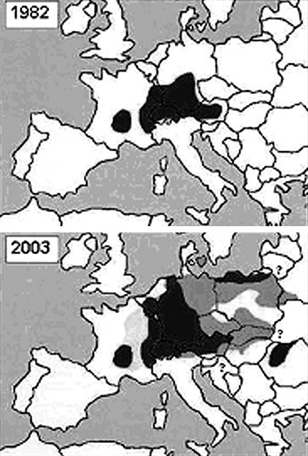 Distribution of Echinococcus multilocularis in Europe (1,2,4, this study). Black areas: Infection was reported in men, foxes and or rodents. Dark gray areas: Infection was described only in foxes and or rodents. Light gray areas: Only human cases were noted. White areas: E. multilocularis free territories. Question marks: The presence or appearance of the parasite is projected. Note: The prevalence of infection in foxes is similar in the majority of the affected countries.