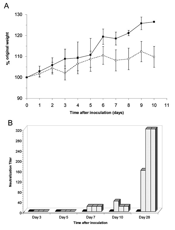 Mice inoculated with severe acute respiratory syndrome–associated coronavirus showed decreased weight gain and developed neutralizing antibodies. A. Average percentage original weight for 2 to 5 mock-inoculated (gray line and solid squares) and 6 to 15 virus-inoculated (solid line and open circles) mice. Error bars represent 1 standard deviation. B. Neutralization titers reported as reciprocal of serum dilution for individual mock-inoculated (solid bars) and virus-inoculated (hashed bars) mice a
