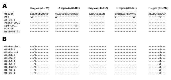 Deduced amino acid sequences of the VP7 antigenic regions of rotavirus G9P[8] strains. A) Outbreak strains. B) Nonoutbreak strains. The VP7 sequences of the standard G9 strain (US1206) and the Australian nonoutbreak strains were obtained from GenBank. Accession numbers are as indicated: US1206: AJ250271, Perth G9.1: AY307094, Syd-G9.1: AY307093, MG9.06: AY307085, Melb-G9.21: AY307090. The sequence of rotavirus strains F45 was obtained from Kirkwood et al. (33). All other sequences were determine