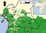 Thumbnail of Map of study sites in southern Cameroon in relation to the distribution of lowland tropical forest in central Africa (in green).