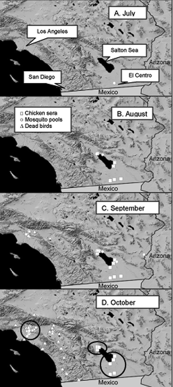 Introduction of West Nile virus into California. Panels show the locations of positive mosquito pools, sentinel chicken flocks with &gt;1 seroconversion, and positive dead birds during each month. Encircled in panel D are the locations of the three foci studied in depth during 2003.