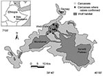 Thumbnail of Ethiopian wolf subpopulations, habitat and carcass locations during the reported rabies outbreak in the Bale Mountains, Ethiopia. Samples were not obtained from all carcasses, but those confirmed rabies positive are depicted with filled circles.