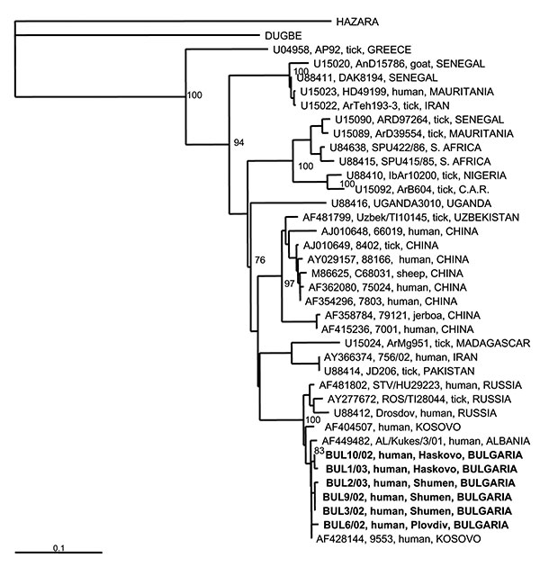 Phylogenetic tree based on 255-nt fragment from the S RNA segment, showing the clustering of the sequences obtained from this study and respective representative Crimean-Congo hemorrhagic fever virus strains from GenBank database. Sequences of two other nairoviruses, Dugbe and Hazara, were included; Hazara virus was used as outgroup. The numbers indicate percentage bootstrap replicates (of 100); values below 70% are not shown. Horizontal distances are proportional to the nucleotide differences.