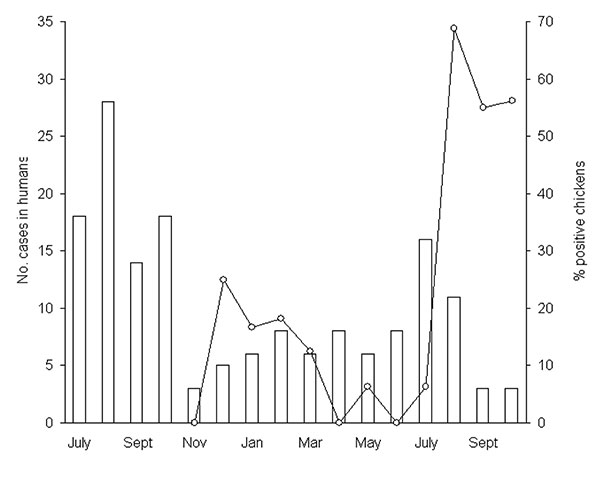 Monthly distribution of the number of sporadic cases of Campylobacter infections in humans from July 2000 to October 2001 (columns) and of the prevalence of Campylobacter in whole retail chickens from November 2000 to October 2001 (line graph).
