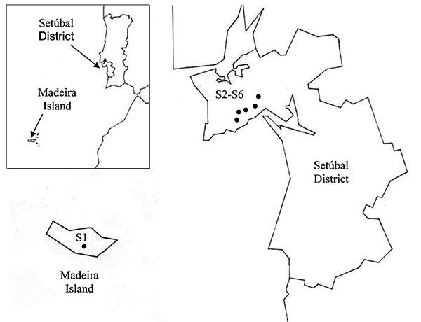 Collection sites in Madeira Island and Setúbal District, mainland Portugal. S, collection site.