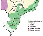 Thumbnail of Distribution of natural ecosystems in Brazil. Red triangles and black circles indicate the location of hantavirus pulmonary syndrome cases and rodent capture, which originated the studied DNA sequences, respectively.