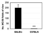 Thumbnail of Mast cells are increased in the spleens of susceptible BALB/c mice 6 hours after CB3 infection. Data are represented as the mean ± standard error of the mean. ***, p &lt; 0.001. Modified from (33).