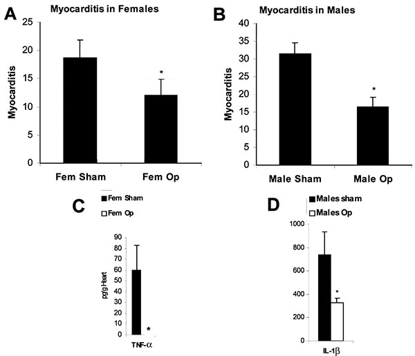 Sex hormones increase myocarditis in female and male mice by increasing interleukin (IL)-1β and tumor necrosis factor (TNF)-α levels in the heart. Susceptible female (A,C) and male (B,D) BALB/c mice underwent gonadectomy (Fem op/Male op) and were compared to sham-operated controls (Fem sham/Male sham) for the level of myocarditis (% inflammation) and cytokines (pg/g) in the heart after CB3 infection. CB3 myocarditis was assessed for (A) female mice and (B) male mice after the operation. Data are
