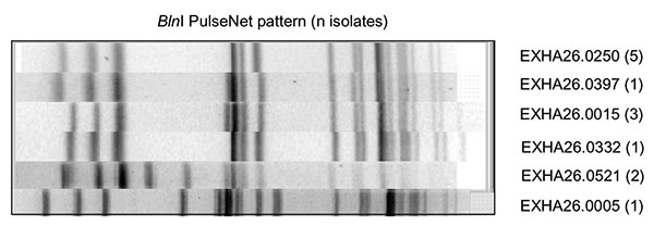 BlnI-generated pulsed-field gel electrophoresis patterns for Esscherichia coli O157 isolates that generated patterns indistinguishable from PulseNet pattern EXHX01.0047 by using XbaI.