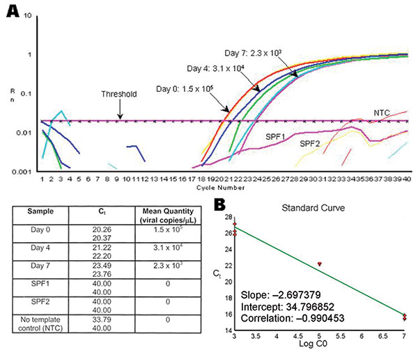 Example of the decrease on Taura syndrome virus (TSV) genome copy number within tissue cell culture flasks exposed to TSV. A) Real time reverse transcription–polymerase chain reaction plots and mean quantity of TSV copies/μL from tissue cell culture media collected at days 0, 4, and 7 postinfection from MA-104 cell flasks injected with TSV-infected shrimp hemolymph. Samples of tissue cell culture media collected from FrhK-4 and BGMK cell culture flasks inoculated with TSV-infected hemolymph or h