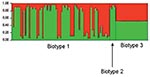 Thumbnail of Results of a Bayesian cluster analysis by STRUCTURE. Each of the strains included in the analysis is represented by a thin vertical line, partitioned into 2 colored segments that represent the proportion of polymorphic sites inherited from each of the 2 genetic ancestries. For the representation of results, strains were grouped according to biotype. The analysis was carried out by using the linkage model with K = 2.