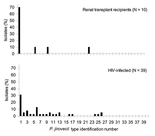 Frequency distribution of Pneumocystis jirovecii types observed in 30 HIV-infected patients and nine renal transplant recipients from 1994 through 1996 at building A of the Edouard-Herriot Hospital.