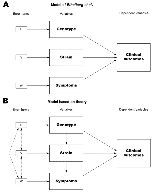 Model for determining virulence factors for hemolytic uremic syndrome.