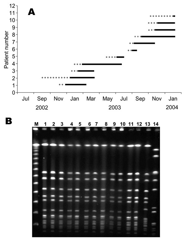 A) Nosocomial transmission of non–multidrug-resistant (MDR) methicillin-resistant Staphylococcus aureus (MRSA) in the premature neonatal ward. Dotted lines represent hospitalization until first non-MDR MRSA isolation. Solid lines represent hospitalization after first non-MDR MRSA isolation until discharge. B) pulsed-field gel electrophoresis of MRSA outbreak isolates; lanes 1–10: ST45-MRSA-IV outbreak strains isolated from neonates; lanes 11–12: ST45-MRSA-IV outbreak strains isolated from nurses
