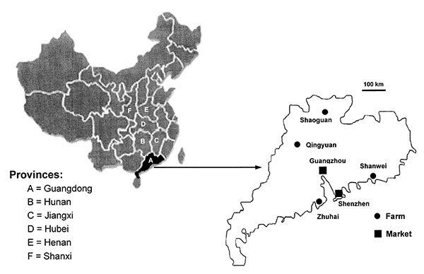 Geographic distribution of the farms and market examined in this study. The diagram on the left identifies the six provinces relevant to this study. The diagram on the right is an enlarged map of Guangdong Province showing the locations of the four farms and the capital city Guangzhou, where the live animal market was located. Also shown is Shenzhen, where civets from live animal markets were tested by Guan et al. in May 2003 (5).