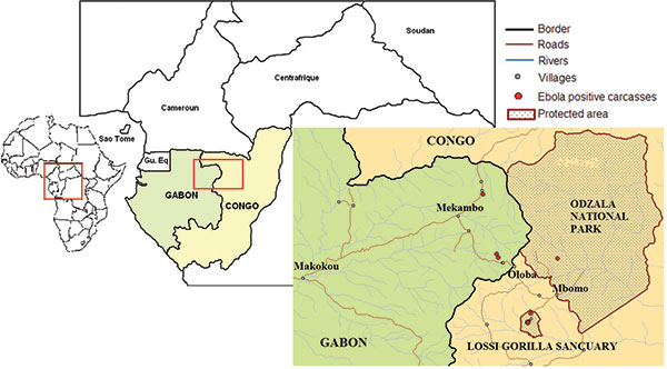 Map of the forest zone straddling the border between Gabon and Republic of Congo, showing (red points) the location of Ebola virus–positive carcasses, confirmed by testing in the Centre International de Recherches Médicales de Franceville biosafety level 4 unit during the 2001–2003 outbreaks in Gabon and Republic of Congo.