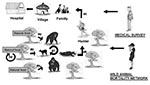 Thumbnail of Schematic representation of the Ebola cycle in the equatorial forest and proposed strategy to avoid Ebola virus transmission to humans and its subsequent human-human propagation. Ebola virus replication in the natural host (a). Wild animal infection by the natural host(s) (b), no doubt the main source of infection. Wild animal infection by contact with live or dead wild animals (c). This scenario would play a marginal role. Infection of hunters by manipulation of infected wild anima
