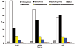 Thumbnail of Antimicrobial drug treatment of outpatient pneumonia by age. Percentage of all study patients receiving a particular class of antimicrobial drug for an episode of community-acquired pneumonia by age group, across all study years.