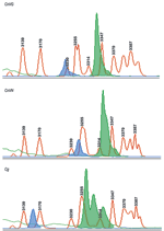 Thumbnail of Capillary electrophoresis–single strand conformation polymorphisms (CE-SSCP) for the identification of varieties and species. The ABI PRISM 310 Genetic Analyzer and GeneScan analysis software were used for variety and species determination with the MFα1 pheromone gene. The MFα1 sense and antisense primers were labeled with fluorescent probes FAM (blue) and TET (green), and polymerase chain reaction amplicons were analyzed with 3% polymer at 30°C under nondenaturing conditions. The b