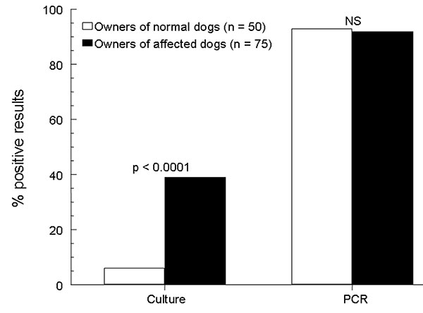 Comparison of rates of detection of Malassezia pachydermatis on the hands of dog owners by 2 laboratory techniques. NS, nonsignificant; PCR, polymerase chain reaction.