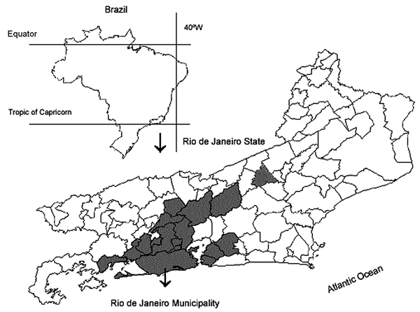 Map of Brazil and the state of Rio de Janeiro showing municipalities (shaded areas) where human and feline cases of sporotrichosis were diagnosed from 1998 to 2003.