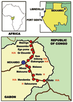 Thumbnail of Locations of the main towns of Gabon (Libreville and Port Gentil) and the villages in the Ebola virus–epidemic area during the 2001–2002 outbreak in Gabon. The villages where human cases of Ebola infection were observed are indicated by “H.” The villages where both human patients and infected animal carcass were observed are indicated by “H/A.”