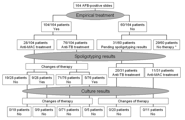 Clinical and therapeutic implications of spoligotyping results in treating suspected mycobacterial diseases. AFB, acid-fast bacilli; pts, patients; MAC, Mycobacterium avium complex; TB, tuberculosis. *Twenty-five patients did not begin treatment because they did not have clinical and radiologic features of tuberculosis. Four patients died within a few days after admission without receiving any antimycobacterial drug.