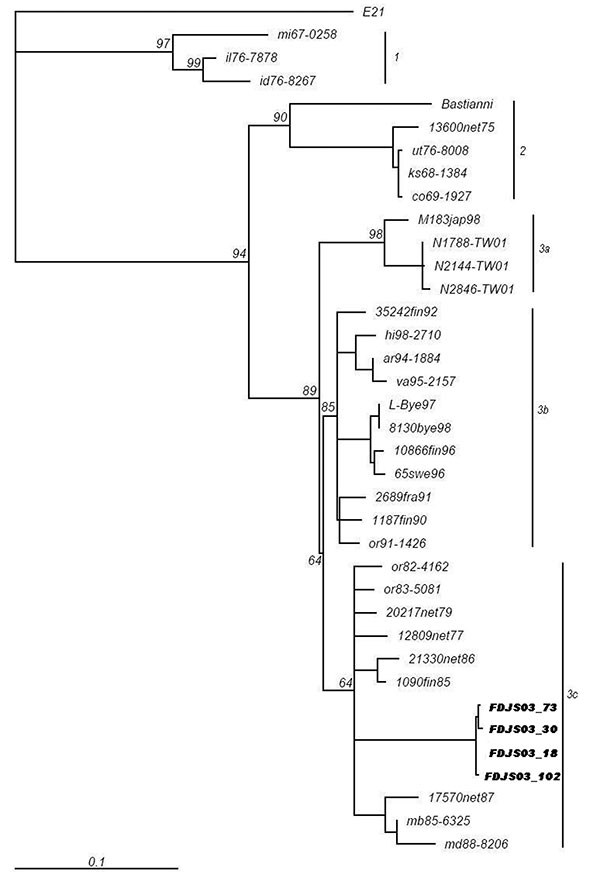 Phylogenetic tree based on complete VP1 sequences among FDJS03 isolates and other strains of echovirus 30 from different geographic and temporal origins. The neighbor-joining method was used to construct the tree. Numbers at the nodes represent the percentage of 100 bootstrap pseudoreplicates that contained clusters distal to the node. Prototype strain Farina of echovirus 21 (shown as E21) was included as the outgroup, but the tree is unrooted.